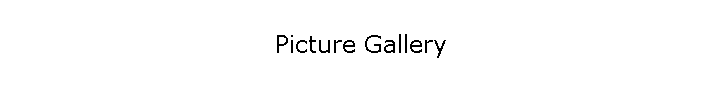 Picture Gallery
